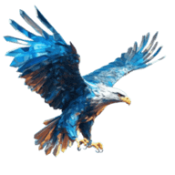 Logo officiel de iHawk
